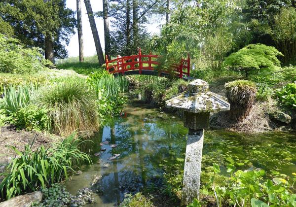 Gatton Park Japanese Garden