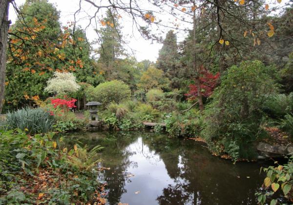 Newstead Abbey Japanese Garden