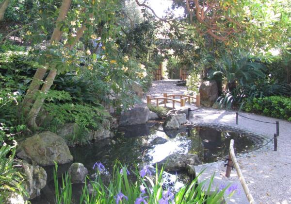 Villa Ephrussi Japanese Garden