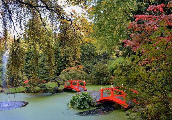 Watergardens, Coombe