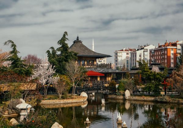Kyoto japanese garden, Konya