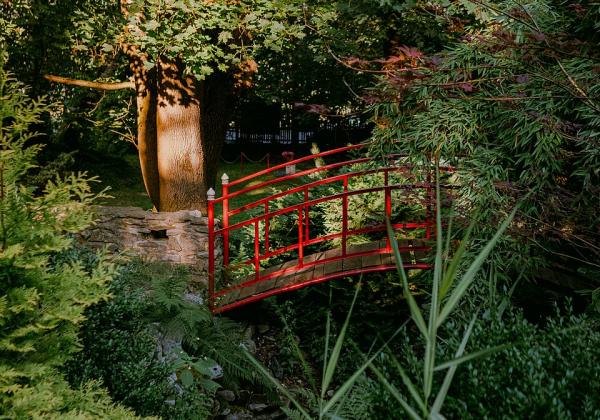 Japanese Garden at Wapiennik Łaskawy Kamień