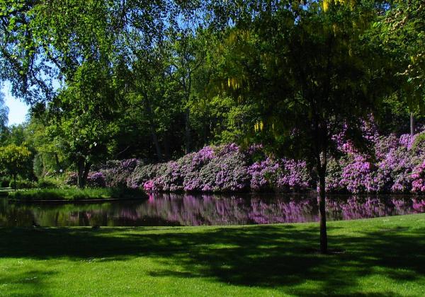 Ronneby Brunnspark