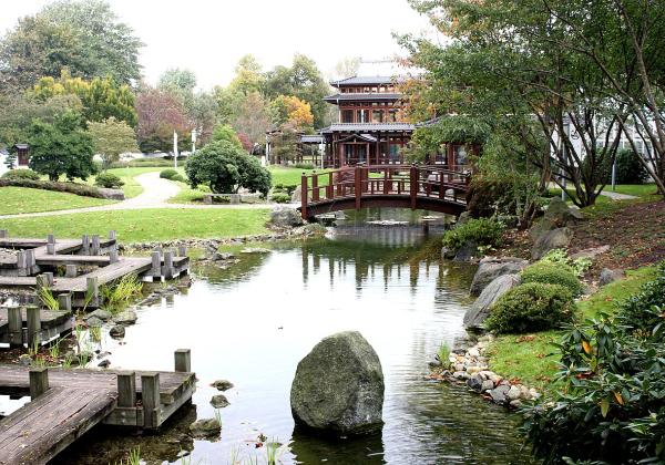 Japanese Garden Bad Langensalza