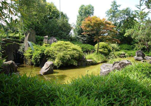 Hana Balz Japanese Garden