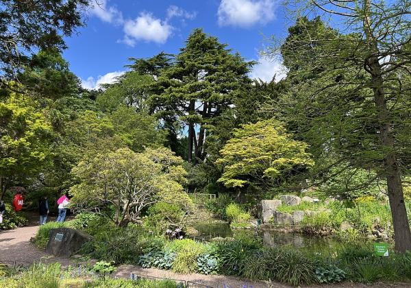 Birmingham Botanical Garden