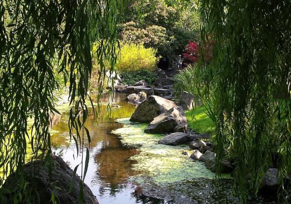 Den Helder Hortus Overzee