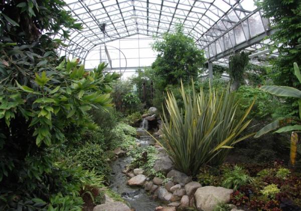 Duthie Park - Winter Gardens