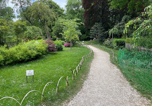Fukushima garden, London