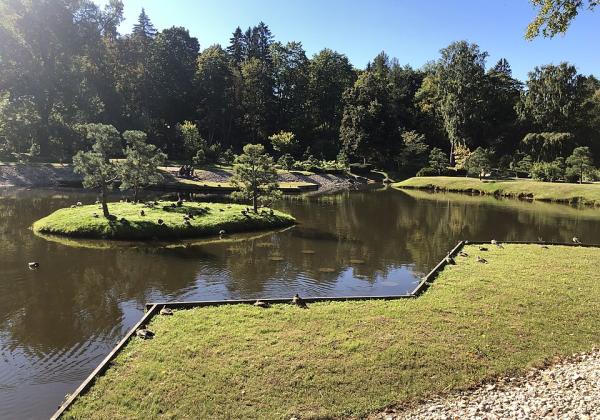 Kadrioru park japanese garden