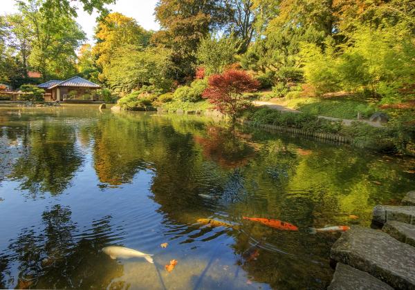 Japanese Garden Kaiserslautern