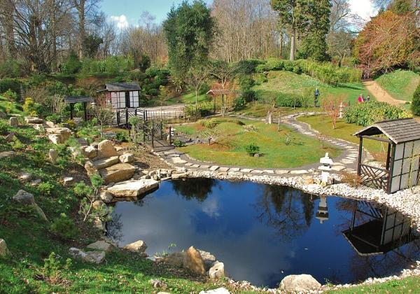 Kingston Lacy Japanese Garden