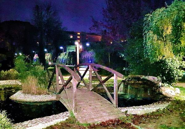 Japanese garden parco via olindo pasqualetti