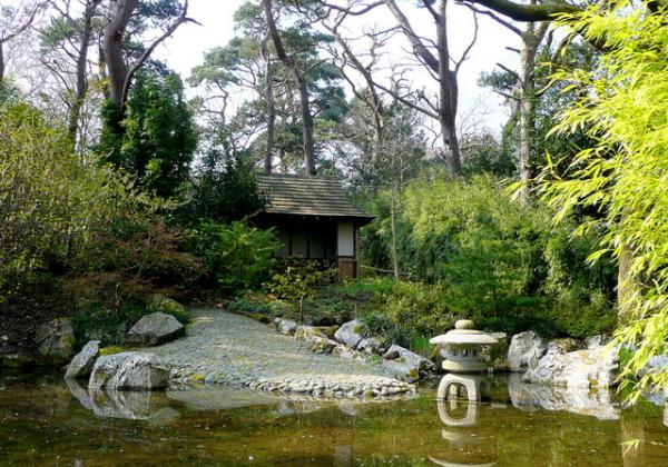 Pine Lodge Gardens