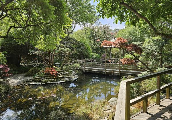 Japanese Garden St. Mawgan