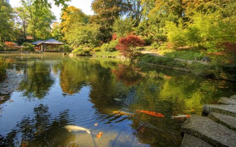 Japanese Garden Kaiserslautern